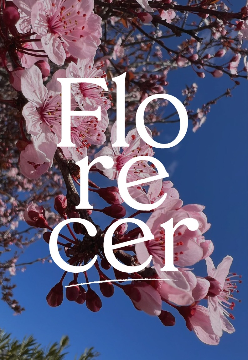 Florecer: Transformación Integral