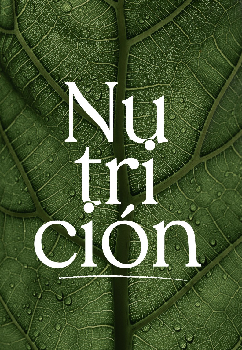 Nutrición | Sesiones 1:1
